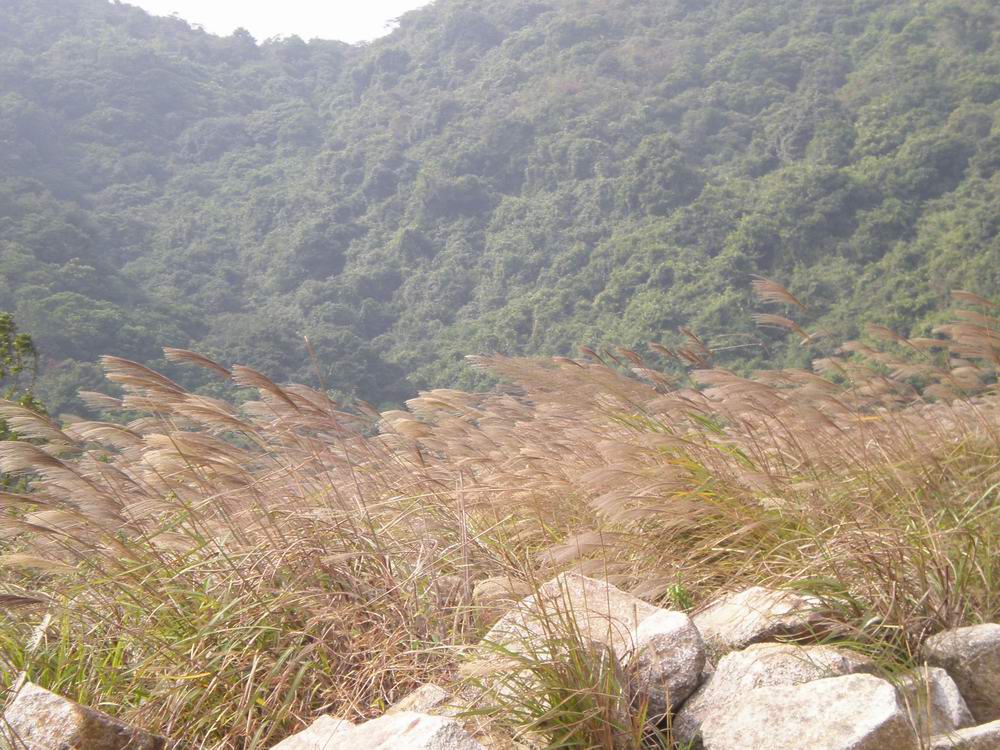 PB180129.jpg