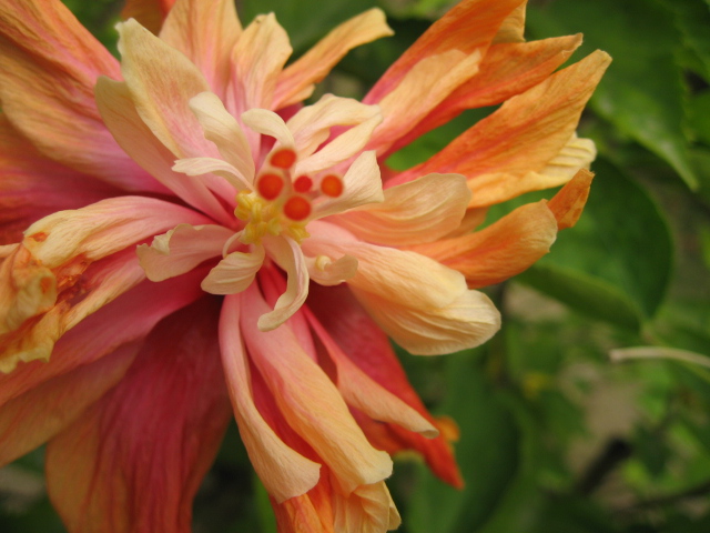 Ƭ 077.jpg