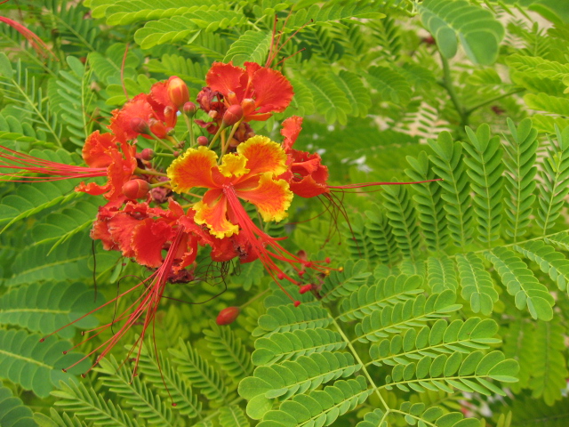 Ƭ 067.jpg