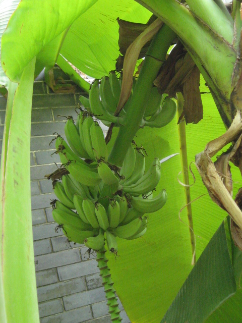 Ƭ 028.jpg