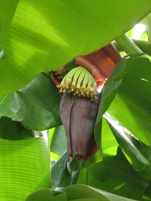 Ƭ 029.jpg