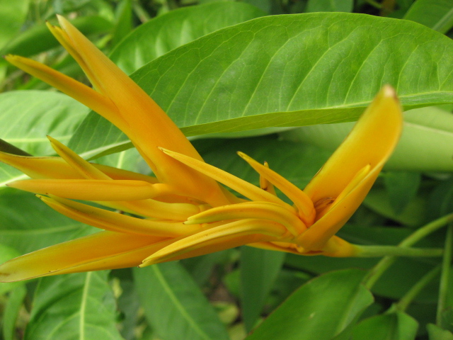 Ƭ 074.jpg