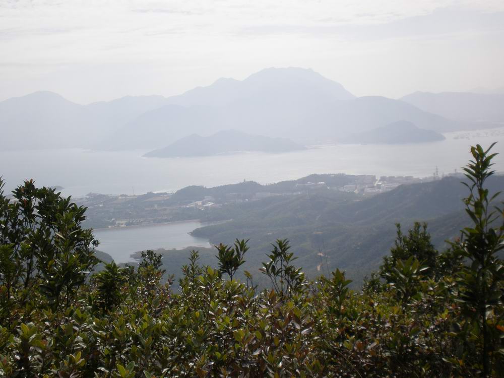 PB250058.jpg