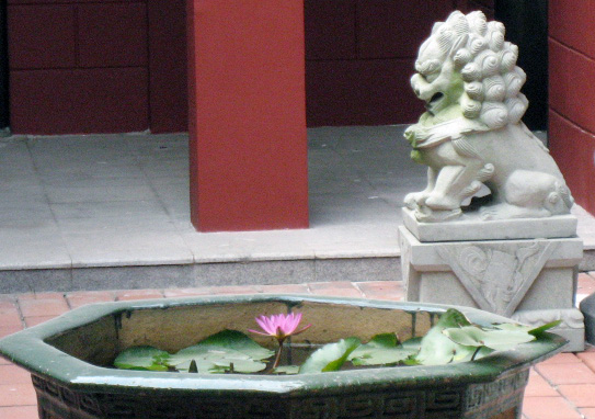 Ƭ 035.jpg