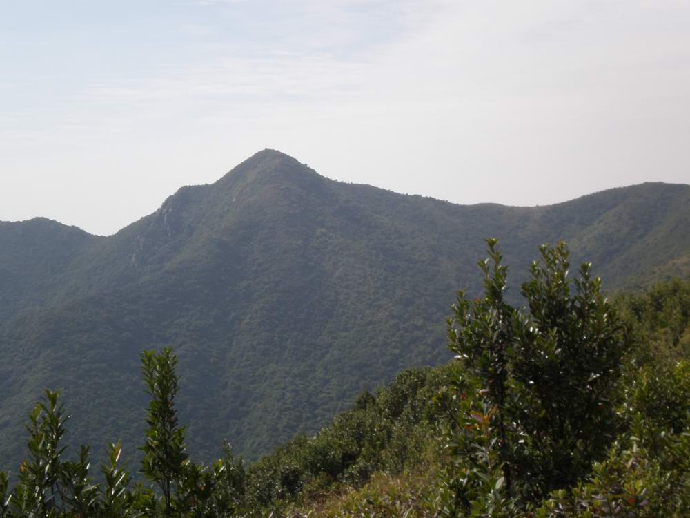 PB250059.jpg