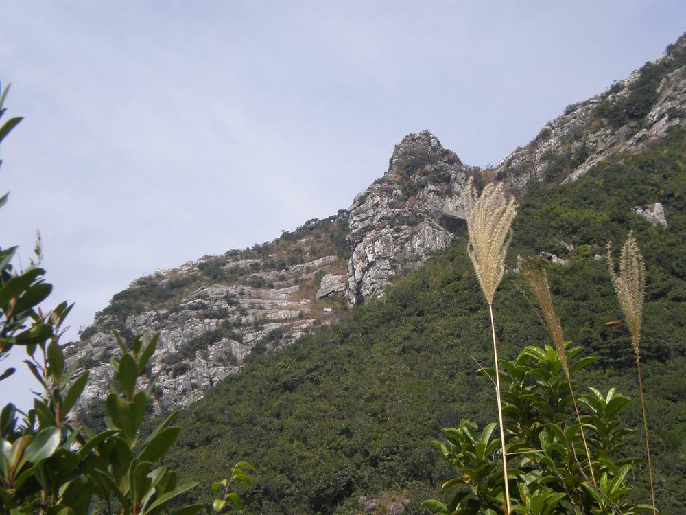 PB250071.jpg