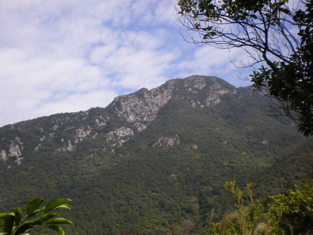 PB250049.jpg
