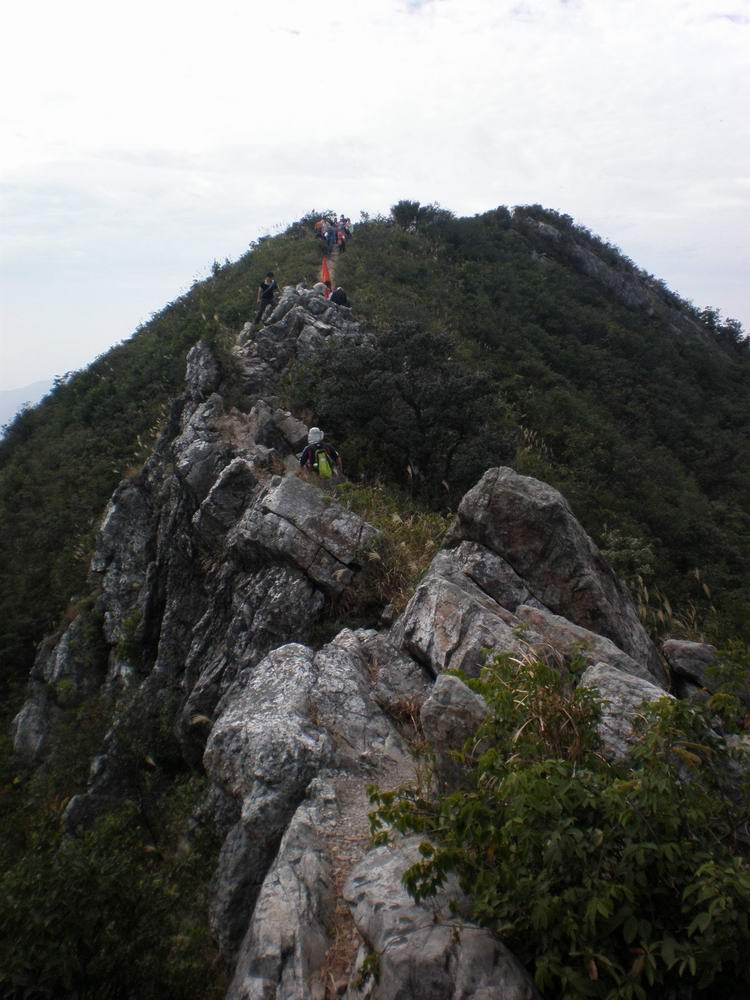 PB250186.jpg