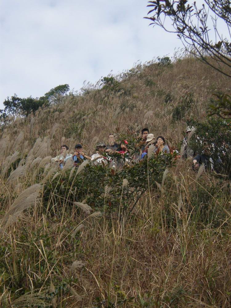 PB250260.jpg