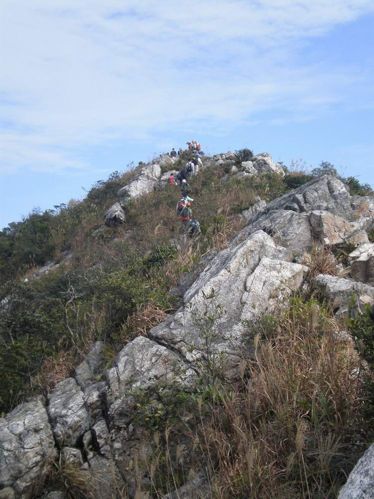 PB250234.jpg