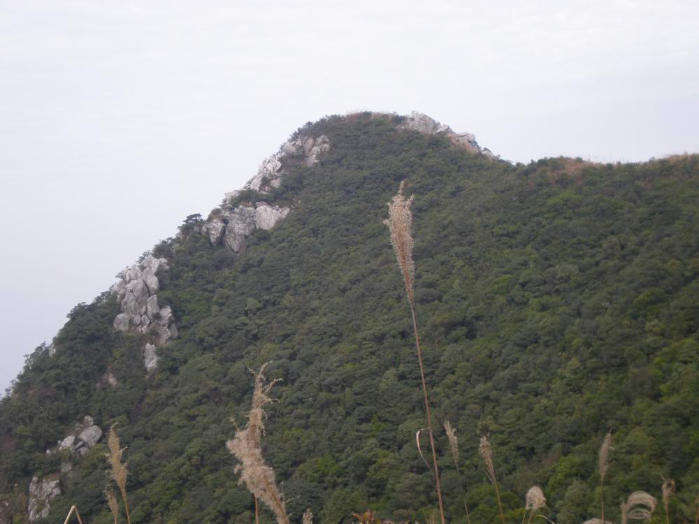 PB250304.jpg