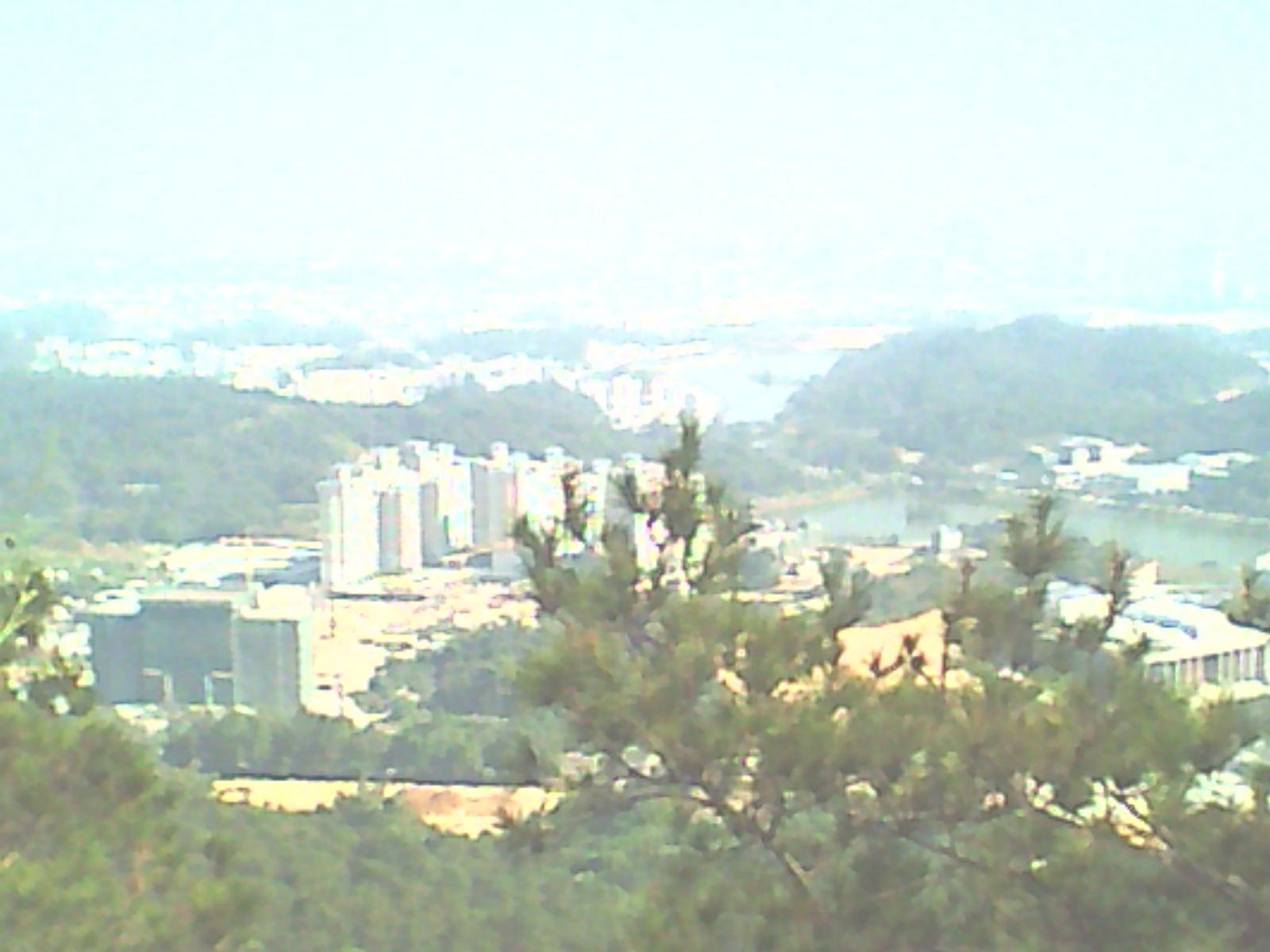 DC0002.jpg