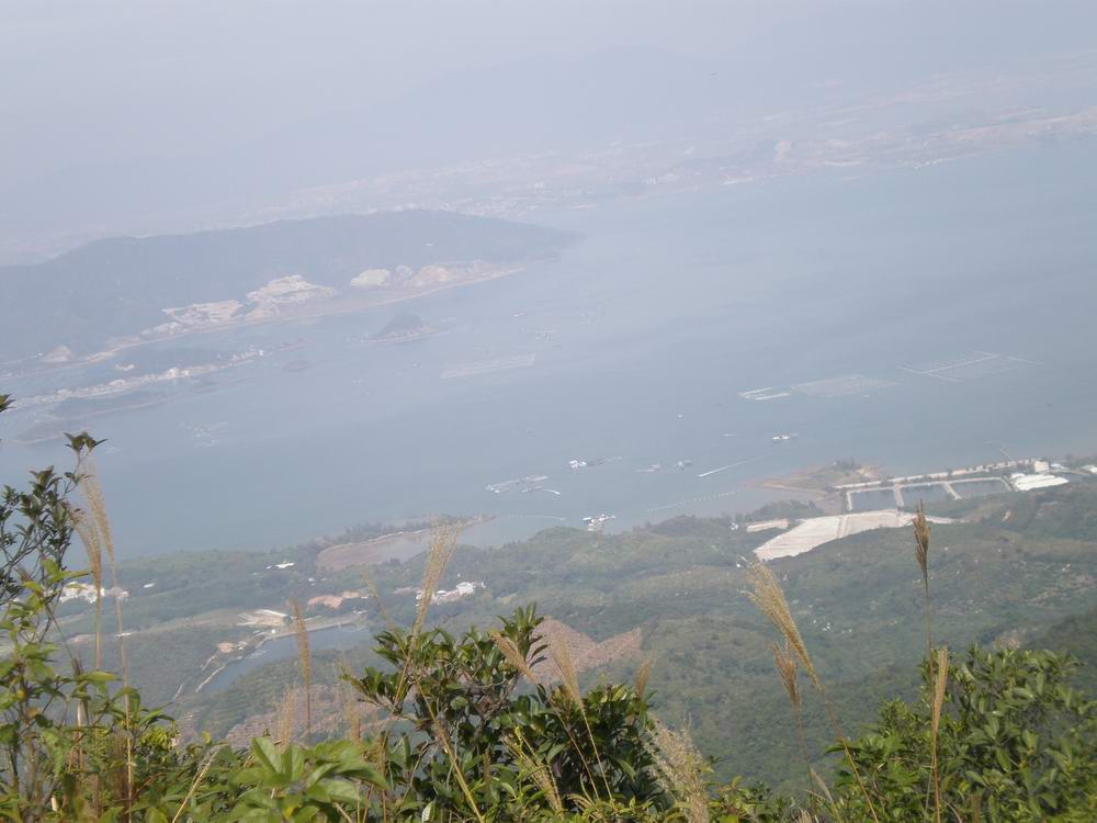 PB250095.jpg