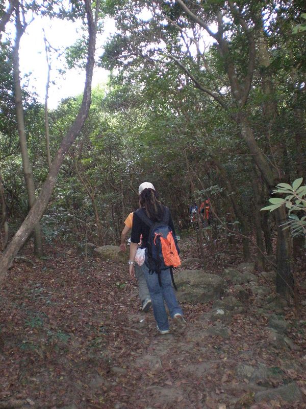 PB250301.jpg