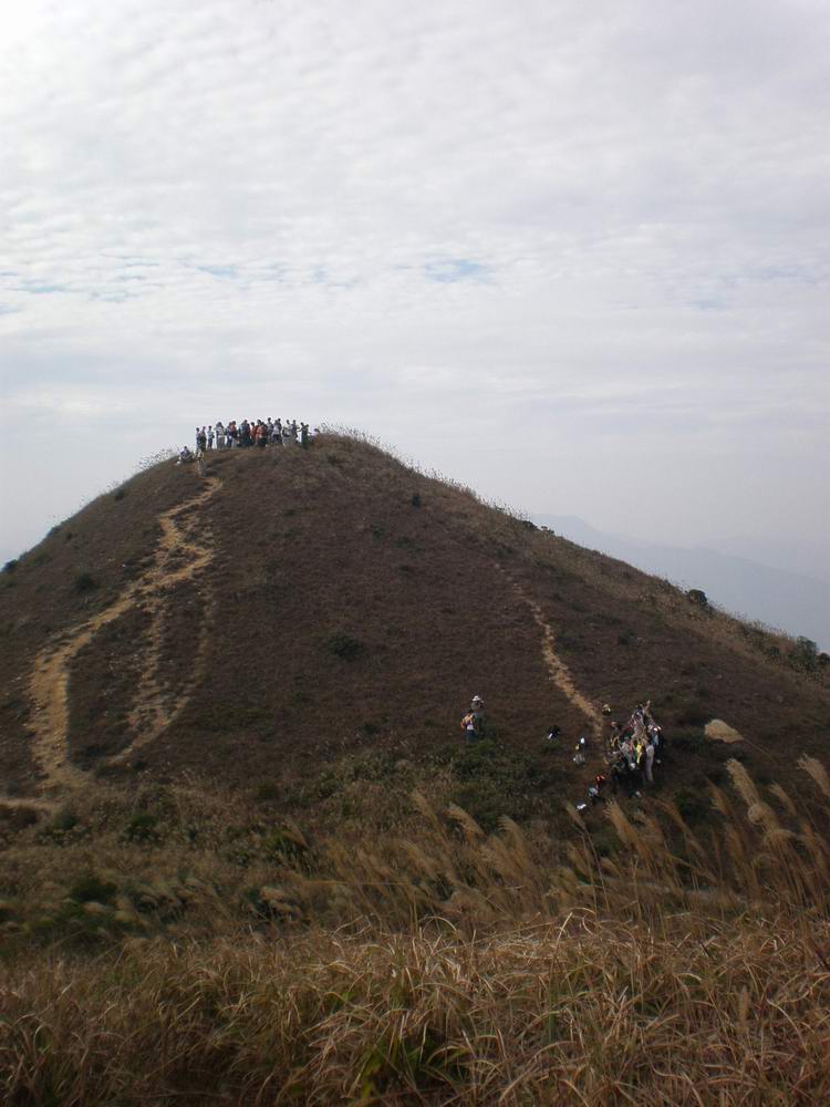 PB250271.jpg