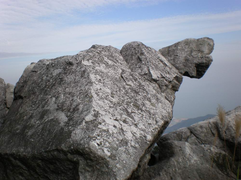 PB250312.jpg