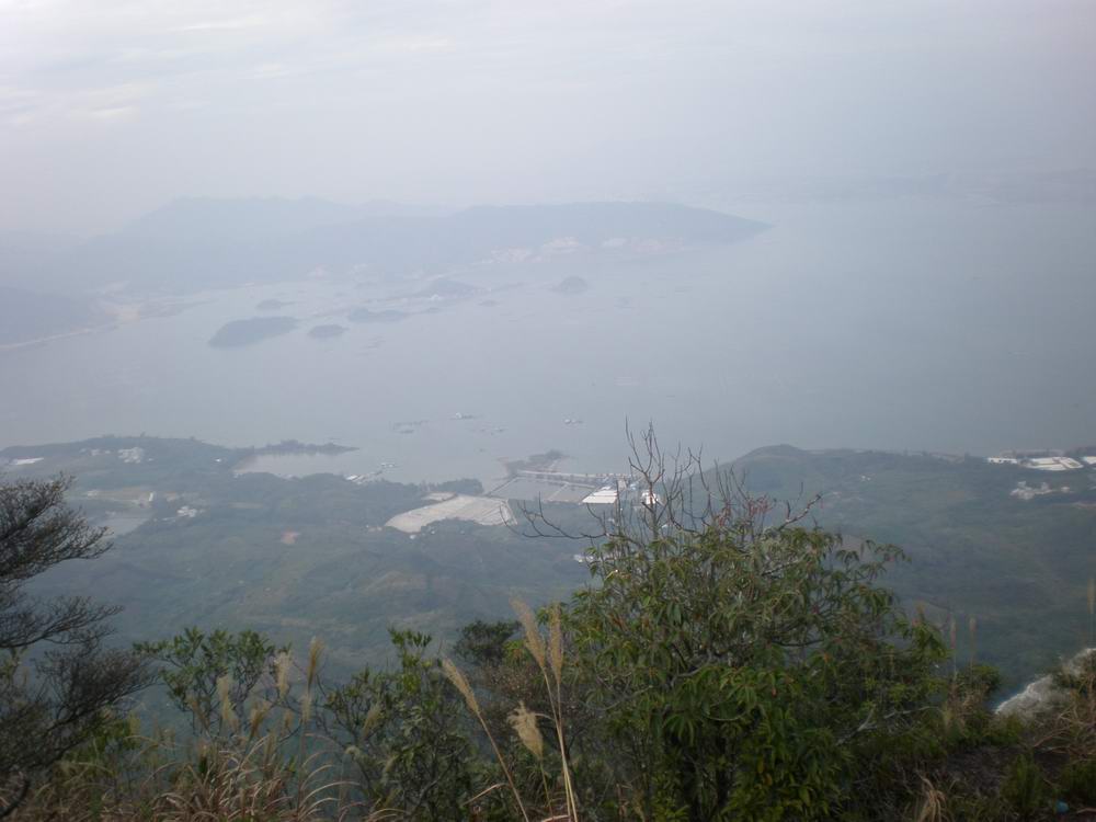 PB250347.jpg