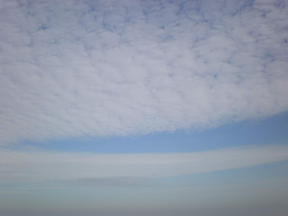 PB250333.jpg