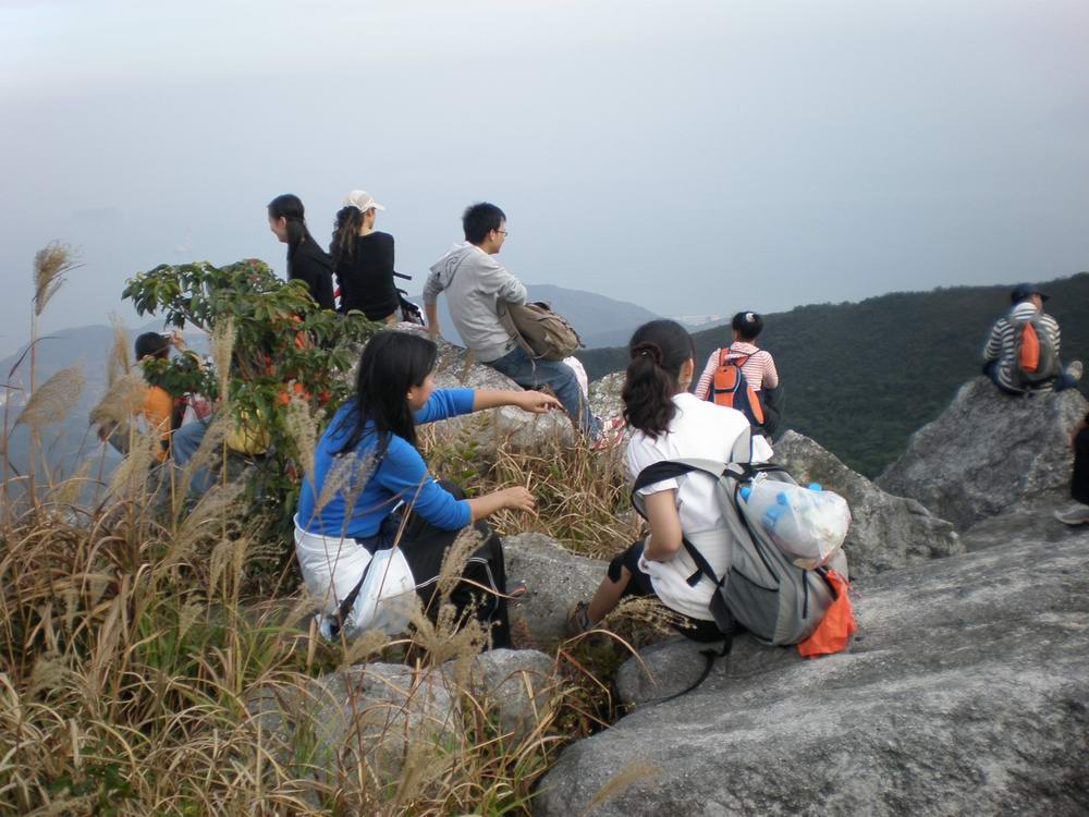 PB250335.jpg