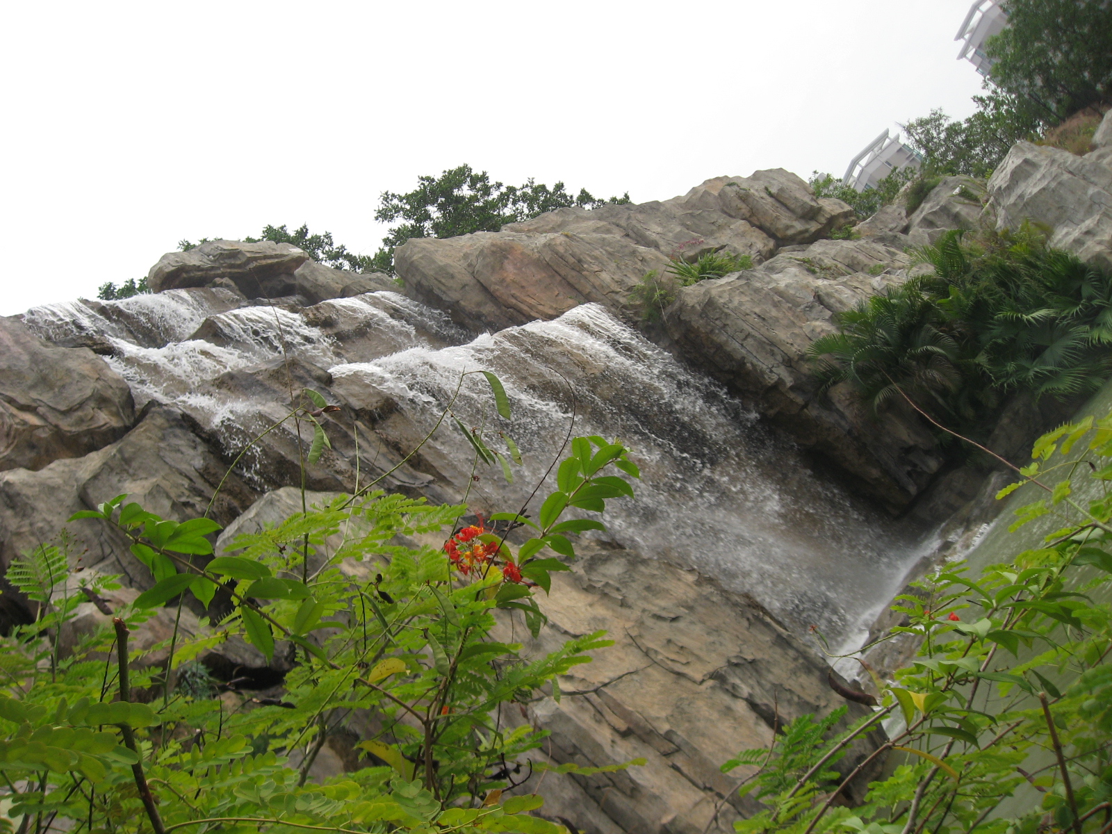 Ƭ 096.jpg