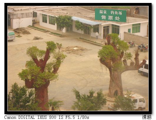 100.jpg