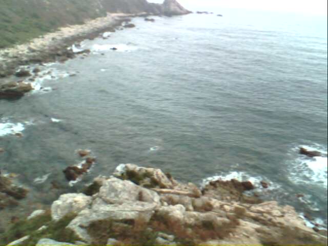 IMG0263A.jpg