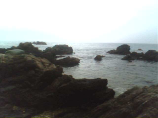IMG0253A.jpg