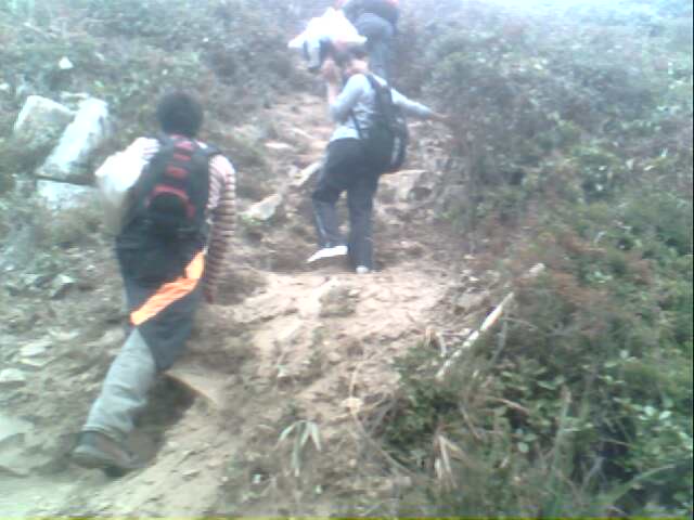 IMG0247A.jpg