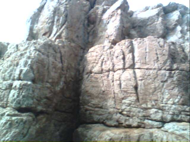 IMG0271A.jpg