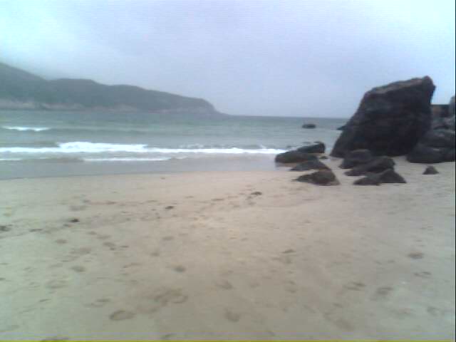 IMG0242A.jpg