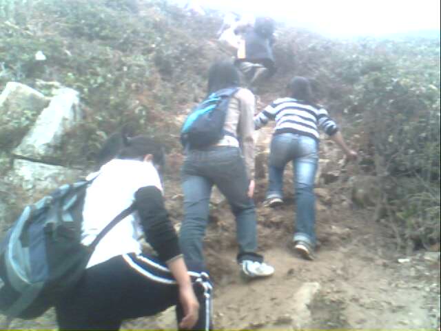 IMG0248A.jpg