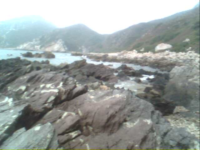 IMG0252A.jpg