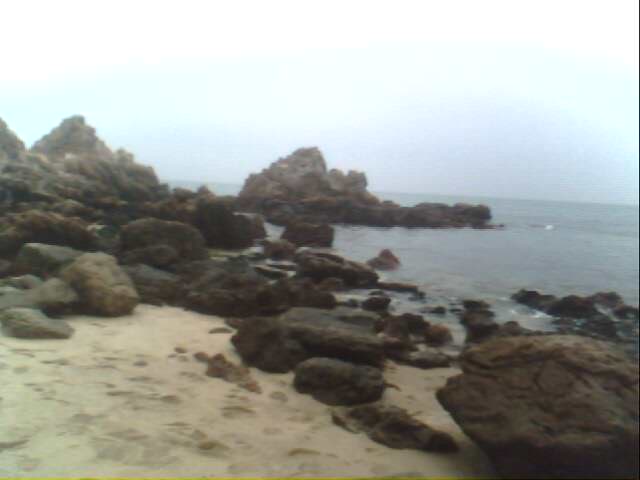 IMG0246A.jpg