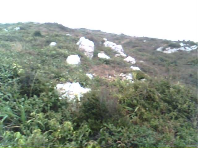 IMG0264A.jpg