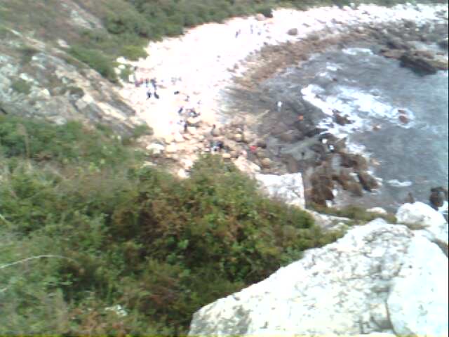 IMG0261A.jpg