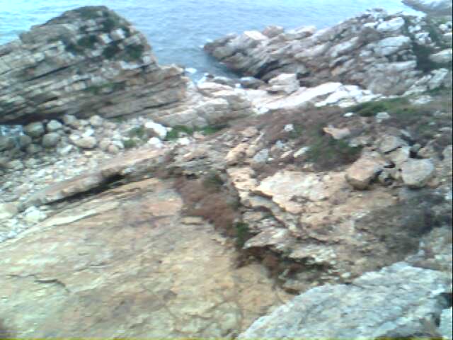 IMG0260A.jpg