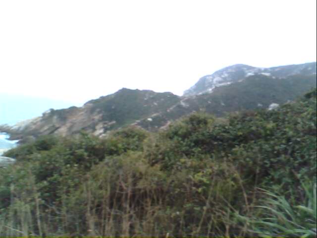 IMG0265A.jpg