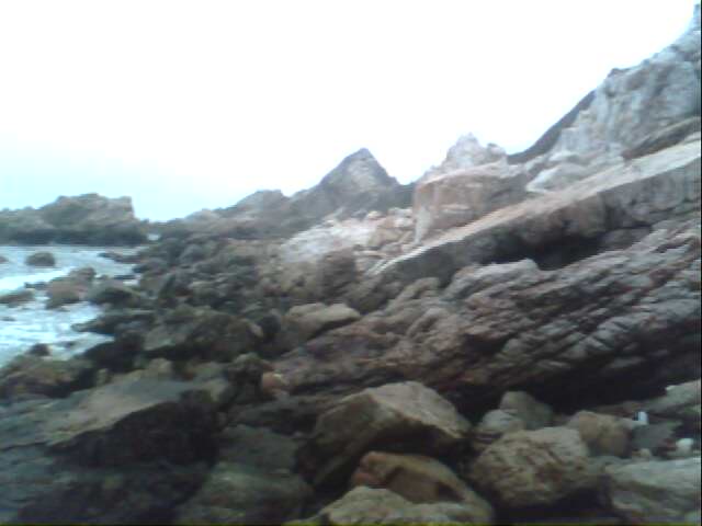IMG0249A.jpg