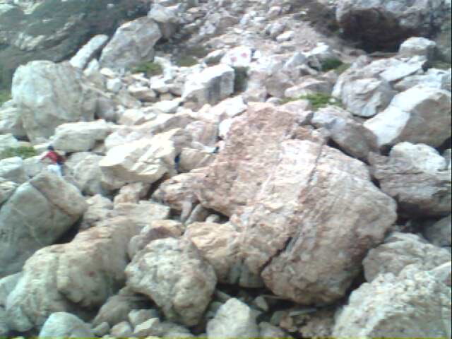 IMG0270A.jpg