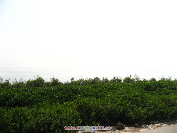 Ƭ 006.jpg