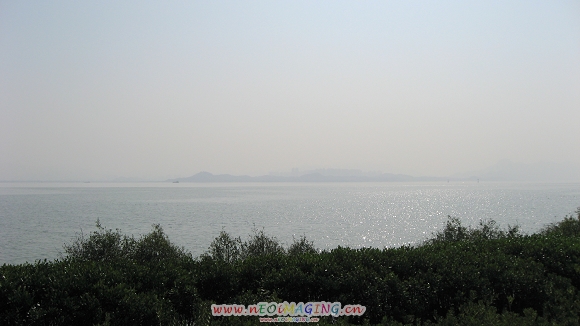 Ƭ 011.jpg
