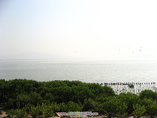 Ƭ 014.jpg