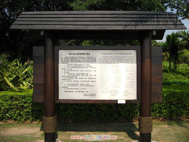 Ƭ 023.jpg