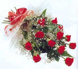 2004581013070.jpg