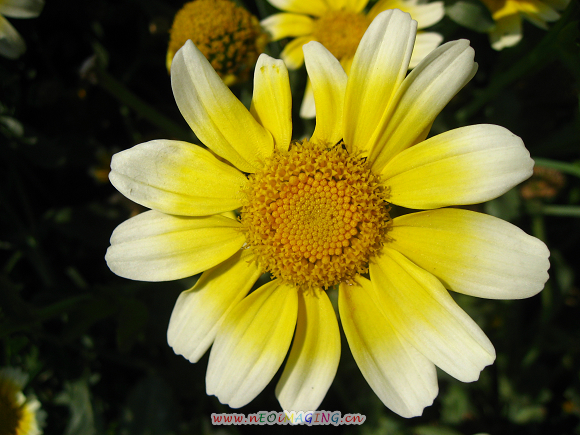 Ƭ 013.jpg