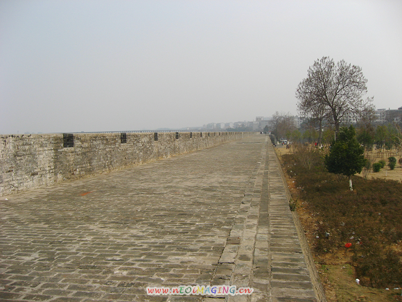 Ƭ 081.jpg