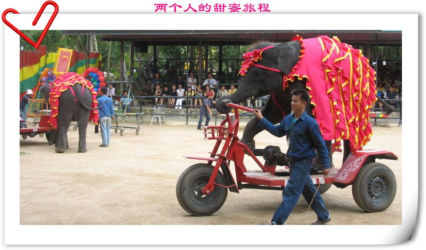 糸.jpg