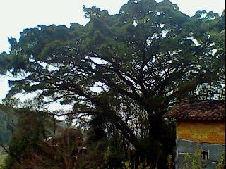 IMG0060A.jpg