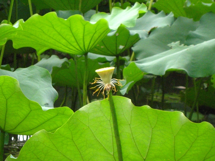 Ƭ 023.jpg