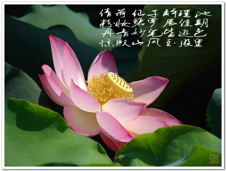 c82044fd398ff8552497181106a261ee.jpg